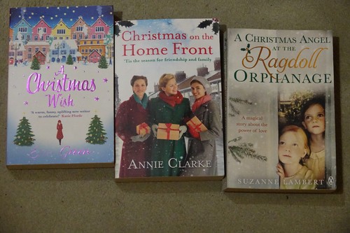Christmas paperback books - x,